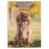 Porte-bloc Ruby Cavalier Le Roi Charles Spaniel Chien Chien (Devant)