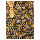 Porte-bloc Ruche d'abeilles avec peigne d'abeille (Dos)