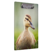 Porte-bloc Se pencher de Mallard de bébé (Swatch)