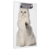 Porte-bloc Séance de chat persan (Swatch)