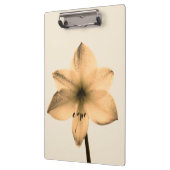 Porte-bloc sépia amaryllis (Gauche)