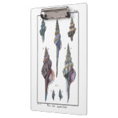 Porte-bloc Sept Coquillages Colorés (Gauche)