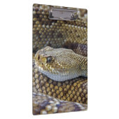 Porte-bloc Serpent de bétail venimeux près (Swatch)