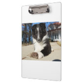 Porte-bloc shet shp chiot noir et blanc (Gauche)