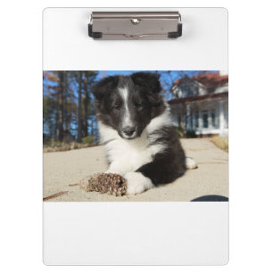Porte-bloc shet shp chiot noir et blanc