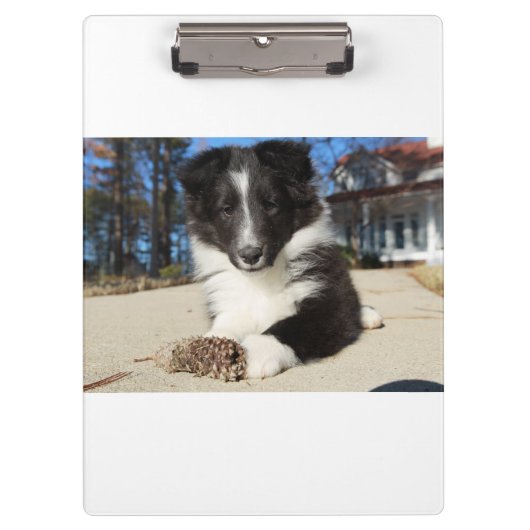 Porte-bloc shet shp chiot noir et blanc (Devant)