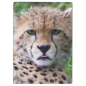 Porte-bloc Silencieux Cheetah Cub (Dos)