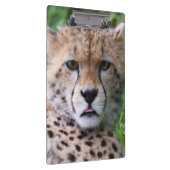 Porte-bloc Silencieux Cheetah Cub (Swatch)