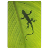 Porte-bloc Silhouette de Gecko (Dos)
