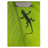 Porte-bloc Silhouette de Gecko (Devant)