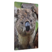 Porte-bloc SmartMix Koala 1220 (Swatch)