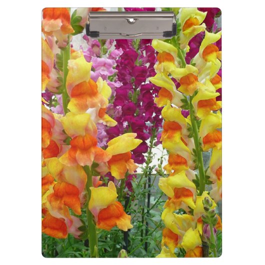 Porte-bloc Snapdragons colorés floraux (Devant)