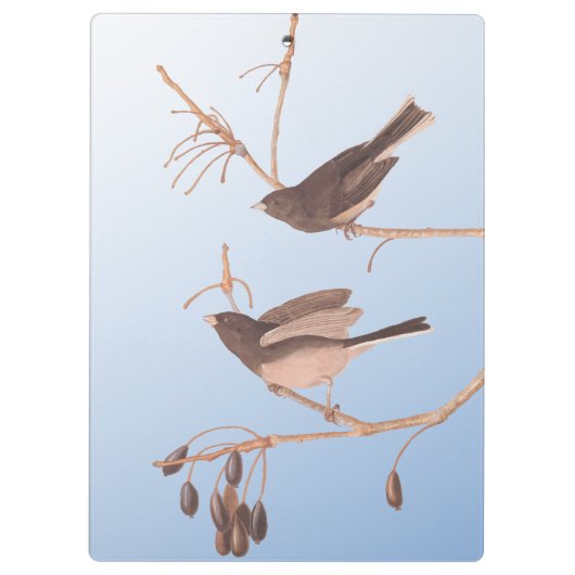 Porte-bloc Snowbirds sur une branche hivernale dénudée (Dos)