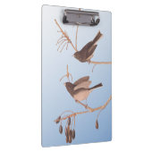 Porte-bloc Snowbirds sur une branche hivernale dénudée (Swatch)