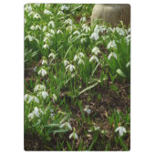 Porte-bloc Snowdrops (Dos)