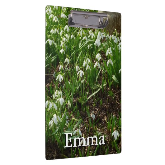 Porte-bloc Snowdrops (Swatch)