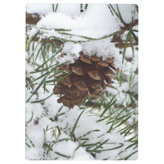 Porte-bloc Snowy Pine Cone I (Dos)
