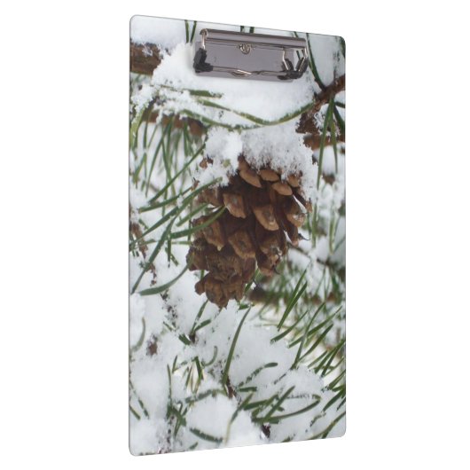 Porte-bloc Snowy Pine Cone I (Swatch)