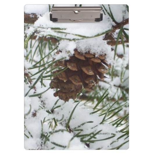 Porte-bloc Snowy Pine Cone I (Devant)