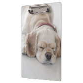 Porte-bloc Sommeil de chien de cocker (Gauche)