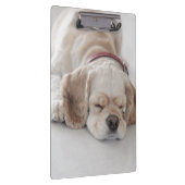 Porte-bloc Sommeil de chien de cocker (Swatch)