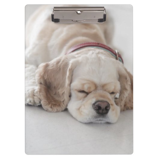 Porte-bloc Sommeil de chien de cocker (Devant)