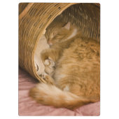 Porte-bloc Sommeil tigré orange dans le panier (Dos)