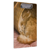 Porte-bloc Sommeil tigré orange dans le panier (Swatch)