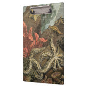 Porte-bloc Sous la mer (Gauche)