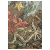 Porte-bloc Sous la mer (Dos)