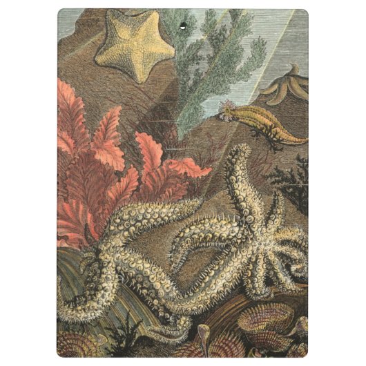 Porte-bloc Sous la mer (Dos)