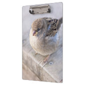 Porte-bloc Sparrow (Gauche)