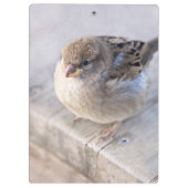Porte-bloc Sparrow (Dos)