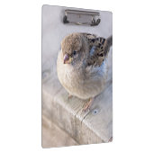Porte-bloc Sparrow (Swatch)