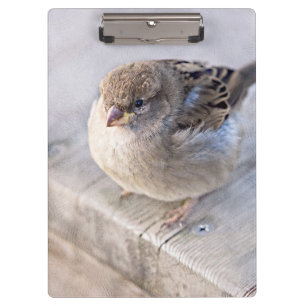 Porte-bloc Sparrow