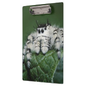 Porte-bloc Spider de la Métaphide (Gauche)