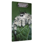 Porte-bloc Spider de la Métaphide (Swatch)