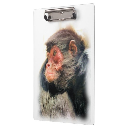 PORTE-BLOC SPIDER MONKEY (Gauche)