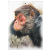 PORTE-BLOC SPIDER MONKEY (Dos)