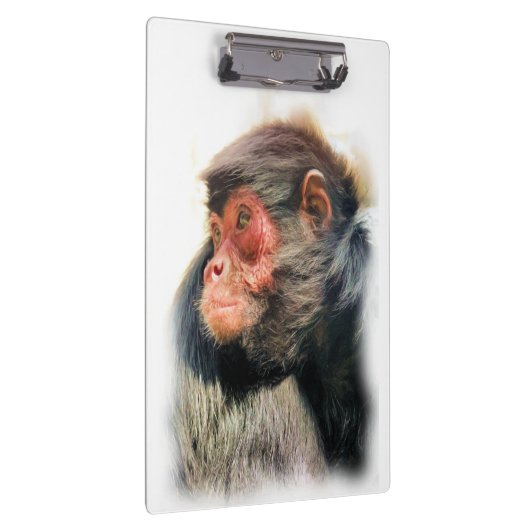 PORTE-BLOC SPIDER MONKEY (Swatch)