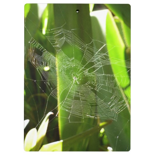 Porte-bloc Spiderweb dans Tropical Leaves Nature (Dos)