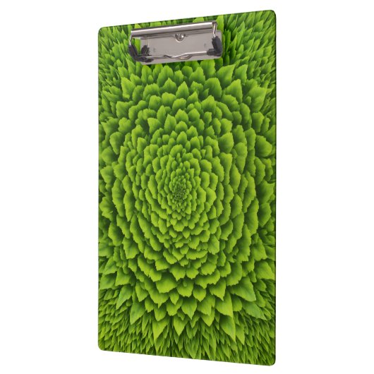 Porte-bloc Spiral Photo Notebook (Gauche)