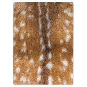 Porte-bloc Spotted deer pour texture (Dos)