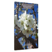 Porte-bloc Spring Flowering Pear Tree (Swatch)