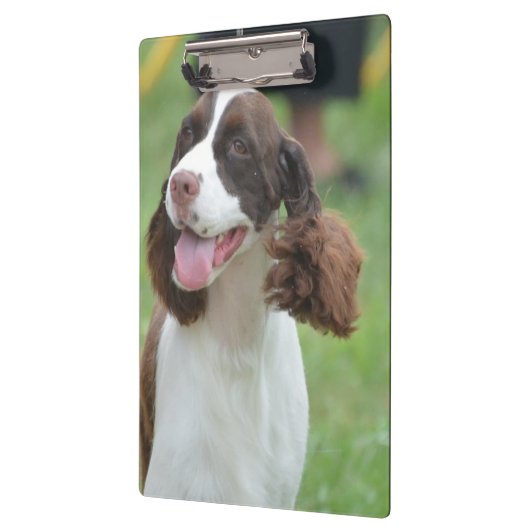 Porte-bloc Springer spaniel mignon (Gauche)