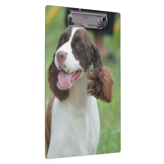 Porte-bloc Springer spaniel mignon (Swatch)