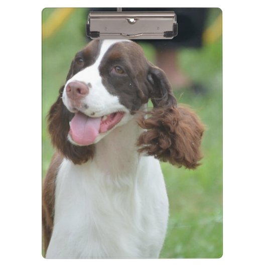 Porte-bloc Springer spaniel mignon (Devant)