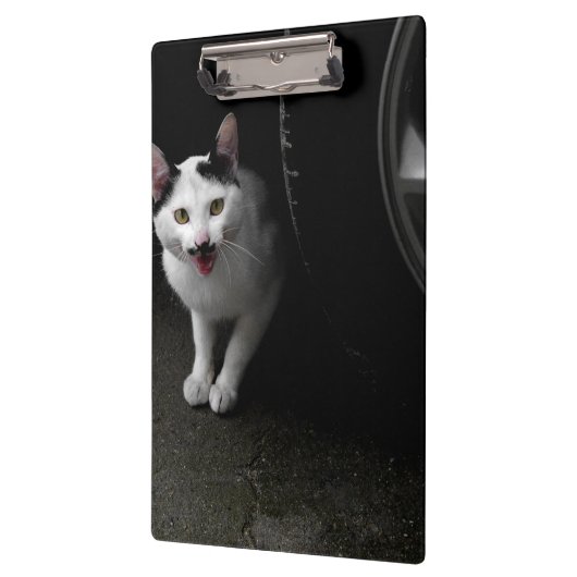 Porte-bloc Stray Chat avec Moustache (Gauche)