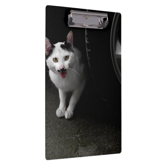 Porte-bloc Stray Chat avec Moustache (Swatch)