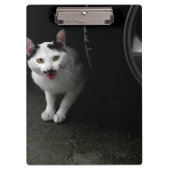 Porte-bloc Stray Chat avec Moustache (Devant)